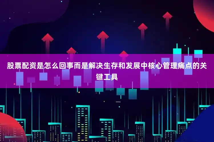 股票配资是怎么回事而是解决生存和发展中核心管理痛点的关键工具