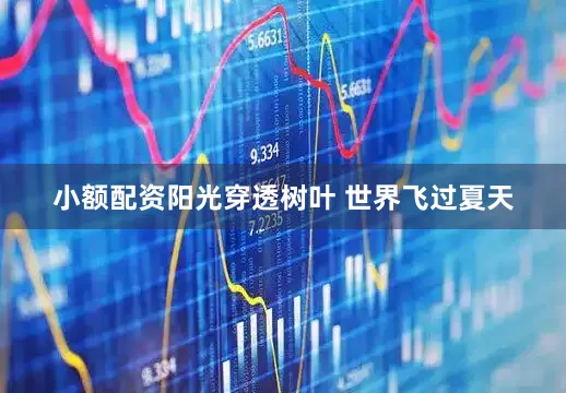 小额配资阳光穿透树叶 世界飞过夏天